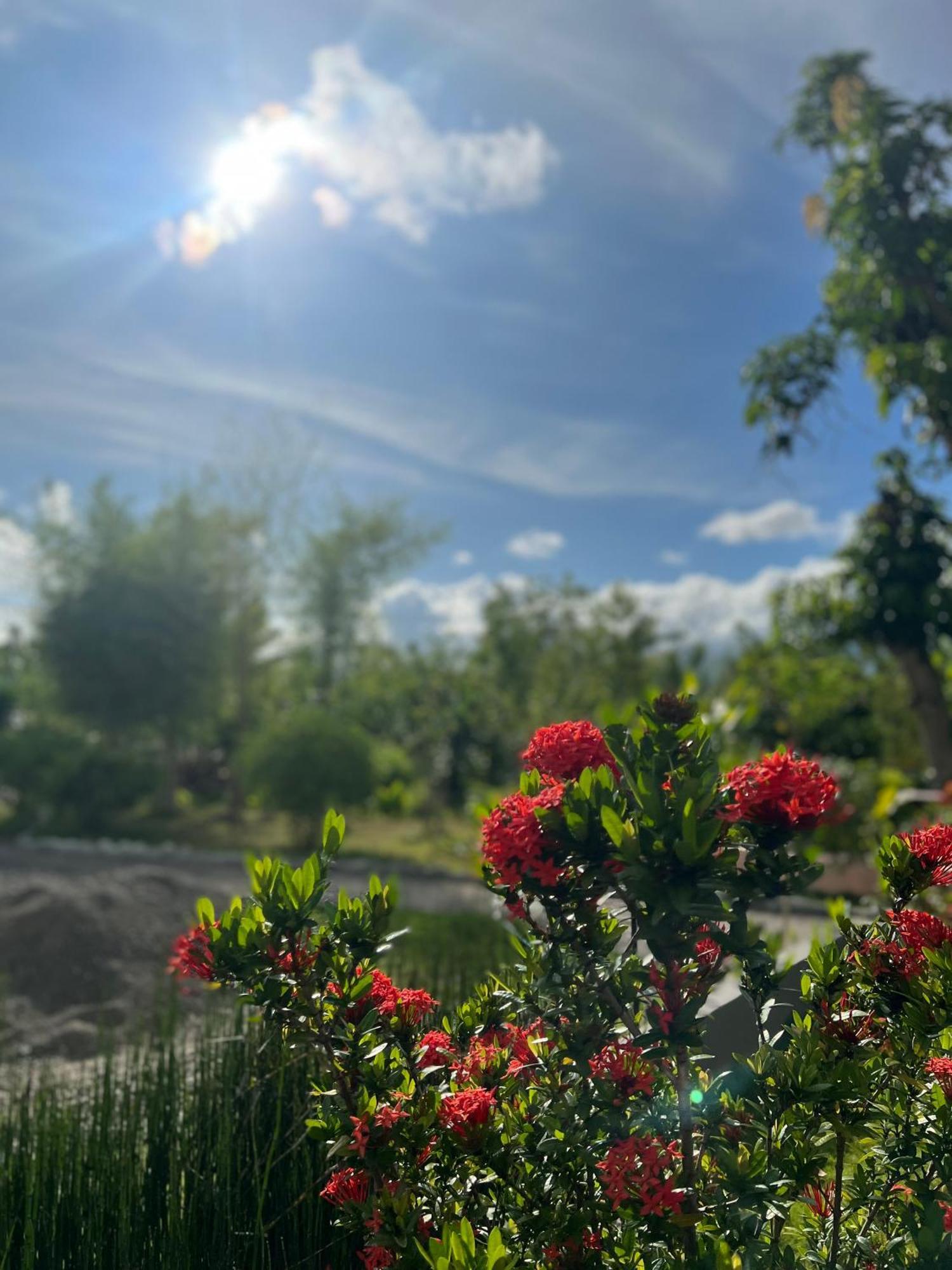 La Plumerias Моалбоал Екстериор снимка
