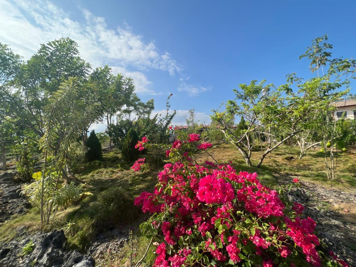 La Plumerias Моалбоал Екстериор снимка