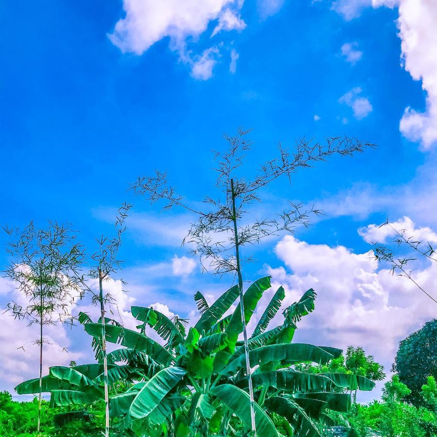 La Plumerias Моалбоал Екстериор снимка